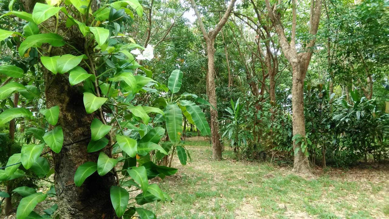 Dugong Koh Sukorn Hotel Ko Sukon Exterior photo